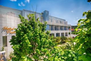 Hotel Pastura - Postira - 6