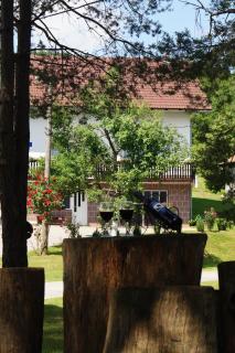 Apartment Drago - Rakovica - 9