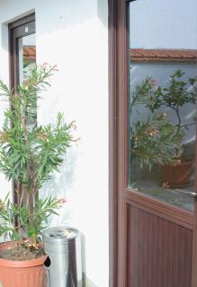 Guest House Dar - Tryavna - 8