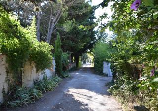 La Maison Des Invites - Pernes-les-Fontaines - 6