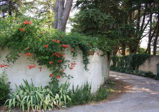 La Maison Des Invites - Pernes-les-Fontaines - 5