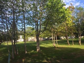 Lakeview Lodge and Cottages - 3