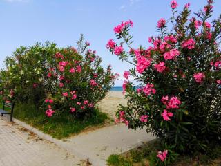 Milla Lux 1 - Paralia Katerinis - 7