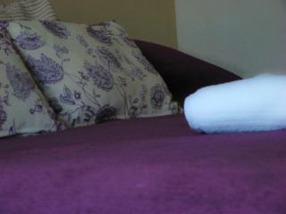 Petit Recoleta Suites - Buenos Aires - 5