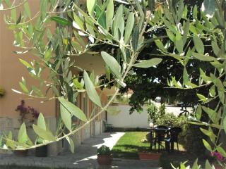 Fani House - Kallithea Halkidikis - 2
