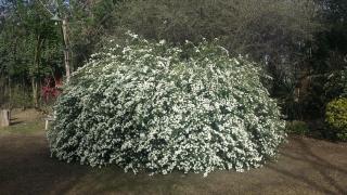 Quinta Valvanera - 2