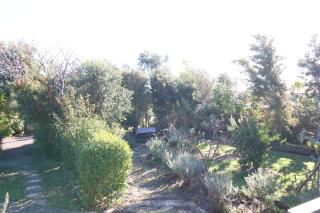 The Red Hen And Dog - 7