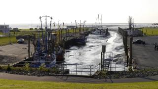 Watt n Nest - Dorum Neufeld - 2