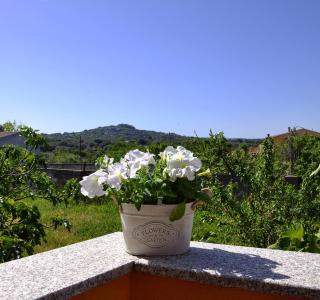 Casa Duminicheddha, mare e relax in Gallura - 5