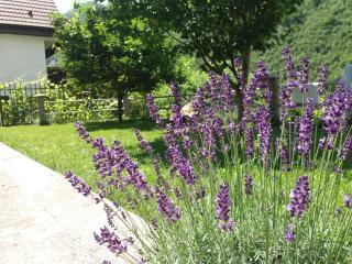 Kuća Lavanda - 0