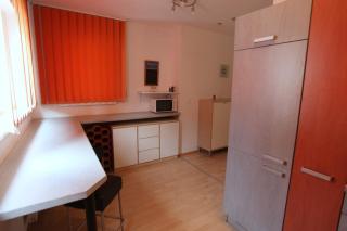 Freundliche zentrale Wohnung nähe Donau Kanal - 3