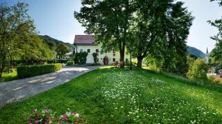 Kendov Dvorec - Spodnja Idrija - 0