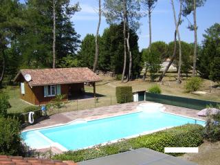 Chalet Saint Julien en Born - Saint-Julien-en-Born - 0