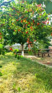 Apartman Dadić - Malinska - 7