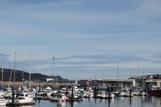 Viveiro - Viveiro - 0