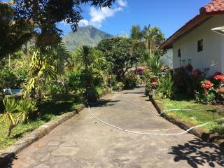 Darma Putra Hotel - Kintamani - 6