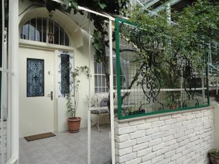 Art House Petunia - 0