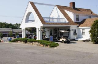 Blue Spruce - Plymouth - 6