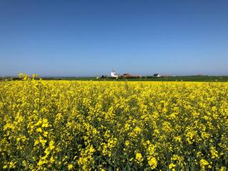 Danhostel Fjaltring - 3