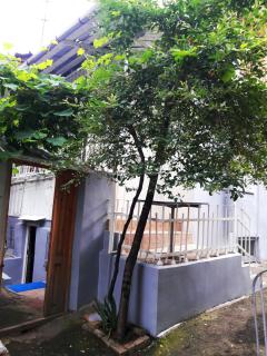 Gulo's Home - Tbilisi - 5
