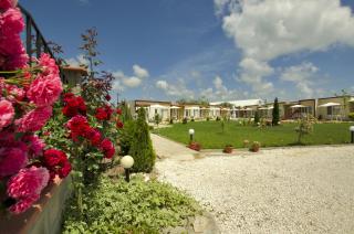 Di Mare Holiday Village - Kranewo - 8