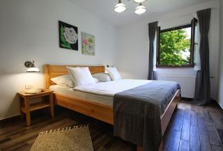 Lagom Apartments - Drežnik Grad - 1