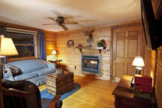 Mountain Springs Cabins - Candler - 5