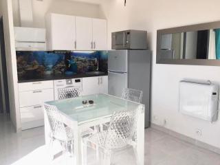 Barcaresa-MAISONNETTE VUE MER PIEDS DANS L'EAU WIFI - Port-Leucate - 2