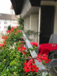 Bed and Breakfast Krone - 1