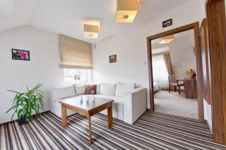 Pensjonat Łysica Wellness & Spa - Święta Katarzyna - 4