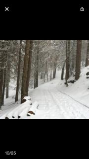 Sequoia National Forest CabinG - Panorama Heights - 8