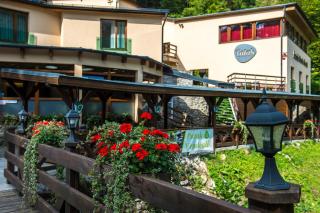 Patak Park Hotel Visegrád - Visegrád - 1