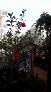 Casa vacanze Filomena - Marina di Camerota - 6