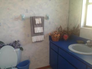 Walk to Indian Rocks Beach Exclusive Use of Hot Tub, Pool, BBQ,with Privacy - Largo - 1
