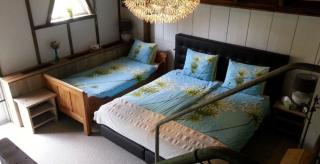 B & B De Pimpelmees - 's-Gravenmoer - 6