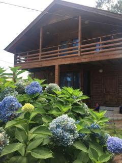 Green Cottage Shekvetili - Ureki - 5