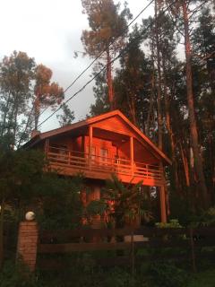 Green Cottage Shekvetili - Ureki - 3