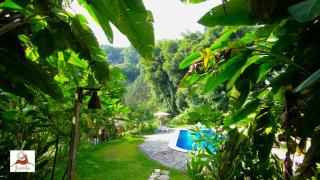 Eco Hotel La Jicarita - Coatepec - 1