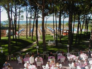 Hotel Beau Rivage Pineta - Lido di Jesolo - 8