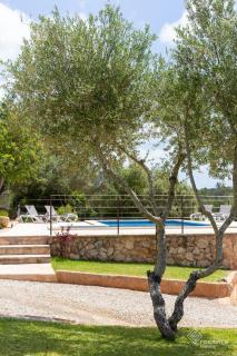 Son Fornes - Algaida - 4