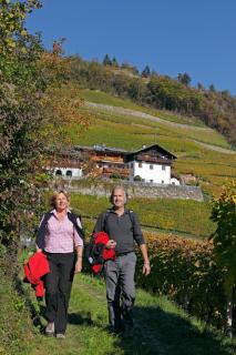 Hofer Hof - Feldthurns - 1
