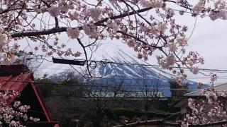 Fuji Sakura House - Fujikawaguchiko - 5
