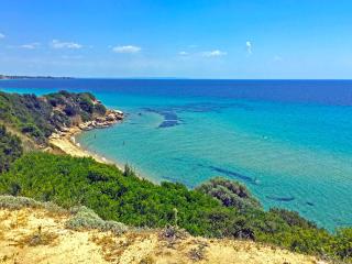 Villa Fofo - Beautiful Sea Front Villa with 650m2 garden - Nea Kallikrateia - 6