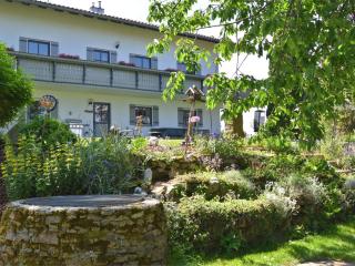flat with private terrace in the Bavarian Forest - Waldkirchen - 9
