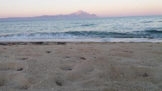 House Kosmas on the beach - Sarti - 3