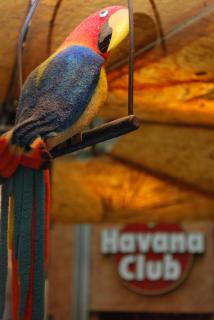 Pension Havana Club - 4