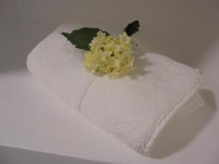 Casa da Flor - Ponta Delgada - 3
