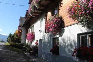 Unterfuchs - Schladming - 2