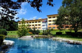 Exclusive HOTEL Lipno Wellness & SPA - Frymburk - 0