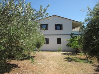 Apartmani Lina - Drvenik Veli - 3